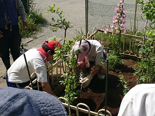 写真：常盤松中学校で児童がブルーベリーを植樹