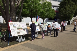 パネル展示の写真