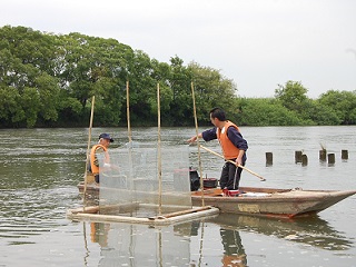 写真：2台の船を使って稚アユを水揚げ