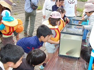 写真：大きなナマズを見て驚く子どもたち