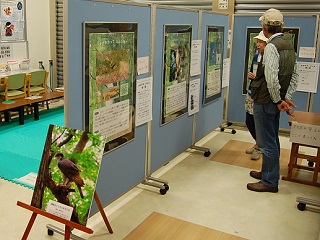 写真：パネル展示の様子