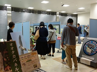 写真：多くの人でにぎわう展示場