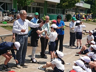 写真：小学校でゴーヤの育て方講習を行う松島名誉会長