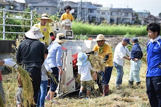 写真：回収した稲を脱穀する参加者の皆さん