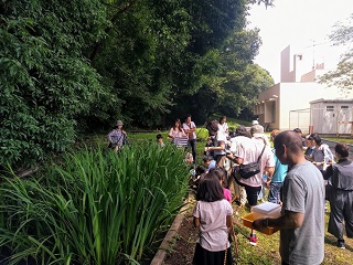 写真：東小学校ビオトープでホタルの幼虫を放流