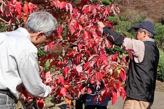 写真：講習会の様子