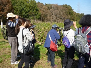写真：野鳥観察を楽しむ参加者
