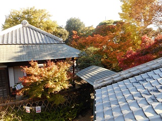写真：秋元本家2階より双樹亭と庭園の紅葉