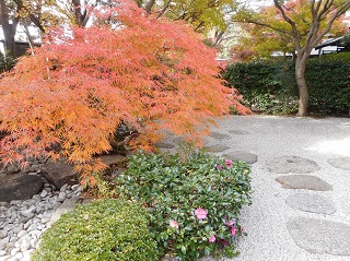 写真：庭園の紅葉