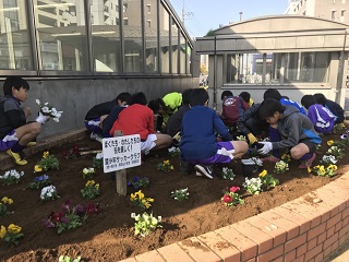 写真：パンジーとビオラを植える子ども達