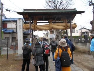 赤城神社の大しめ縄の写真