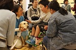 写真：犬と触れ合う参加者