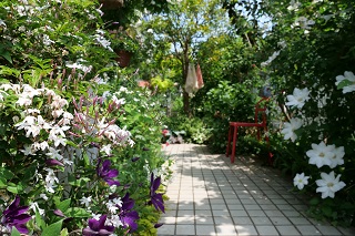 写真：花々が咲き乱れるお庭