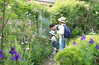 写真：熱心に植物を見学している来場者