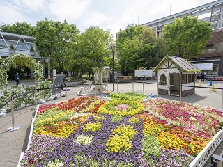 写真：花絵の様子