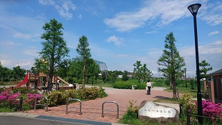 大堀川水辺公園の様子