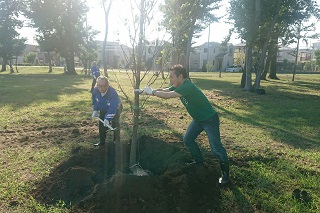 写真：植樹する市長の様子