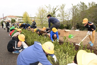 写真：一つ一つ丁寧に植樹を行う子どもたち