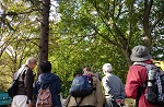 写真：外での観察会