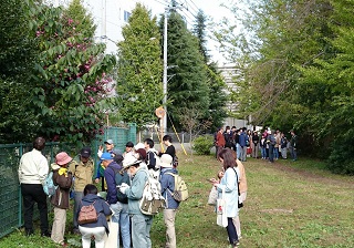 写真：外での観察会