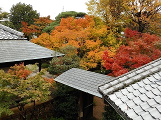 写真：双樹亭・中門と庭園の紅葉