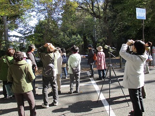 写真：野鳥観察を探索する参加者
