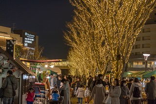 写真：広場のイルミネーションの様子