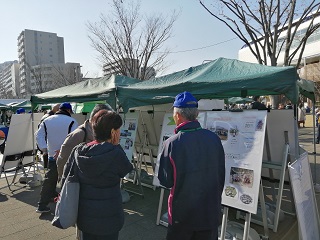 写真：パネル展の様子