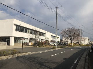 写真：おおたかの森桜通りに咲く桜