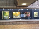 写真：作品展