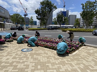 写真：植えている様子