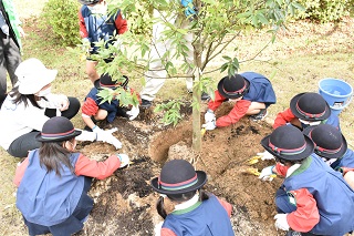 植樹の様子