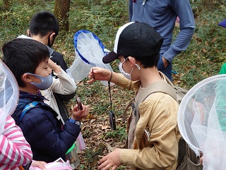 写真：市野谷の森で観察する様子