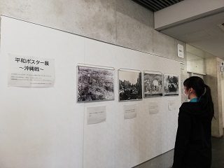 展示の様子