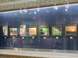 写真展