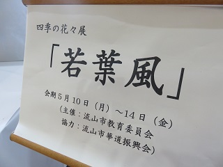 展示の様子