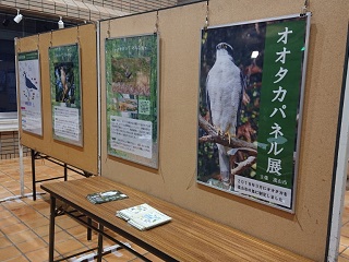 展示の様子