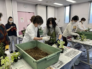 寄せ植え実習の様子