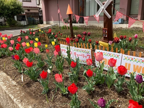 利根運河交流館の花壇