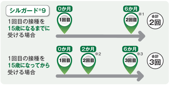 シルガード間隔