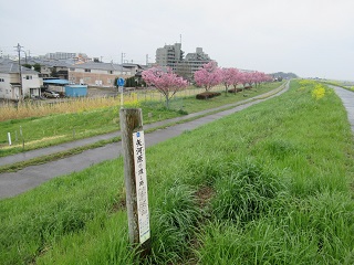 流山をA・RU・KU　新選組の足跡を歩く