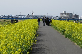 流山をA・RU・KU　新選組の足跡を歩く