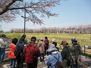 令和4年4月7日、森の図書館で「初心者のための野鳥観察」が開催されました。
