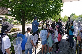 おおたかの森探検ツアー　植物説明