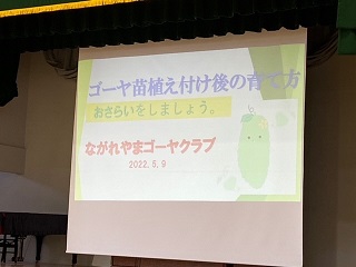 市内小学校でゴーヤの育て方講習会