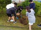 植樹活動の様子