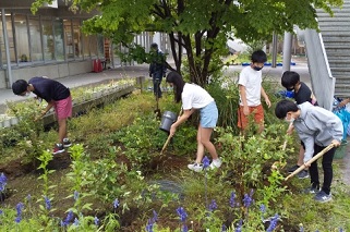 植樹活動の様子