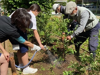 植樹の様子