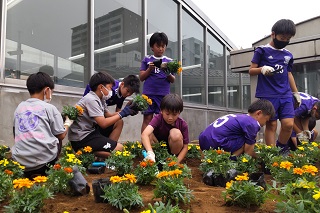 花壇整備