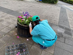 流山おおたかの森駅前広場で植栽活動が行われました